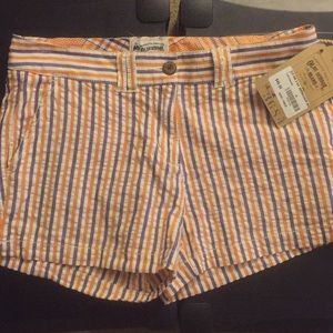 Clemson Purple and Orange Womans Seersucker Shorts